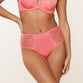 Lingadore - Full Brief