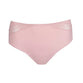 Primadonna - Salerno Full Brief